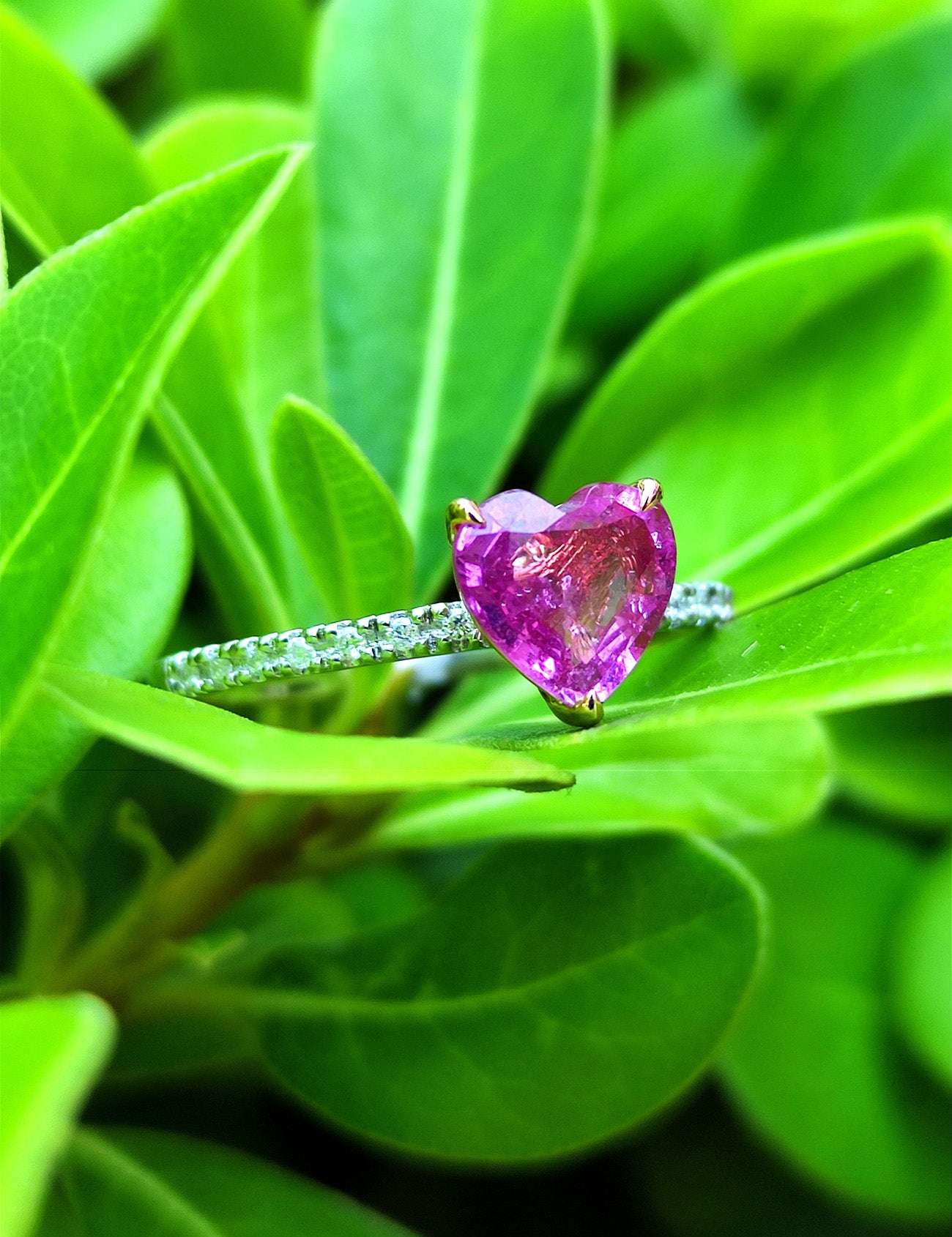 1,34 Karat Pırlantalı Safir Yüzük