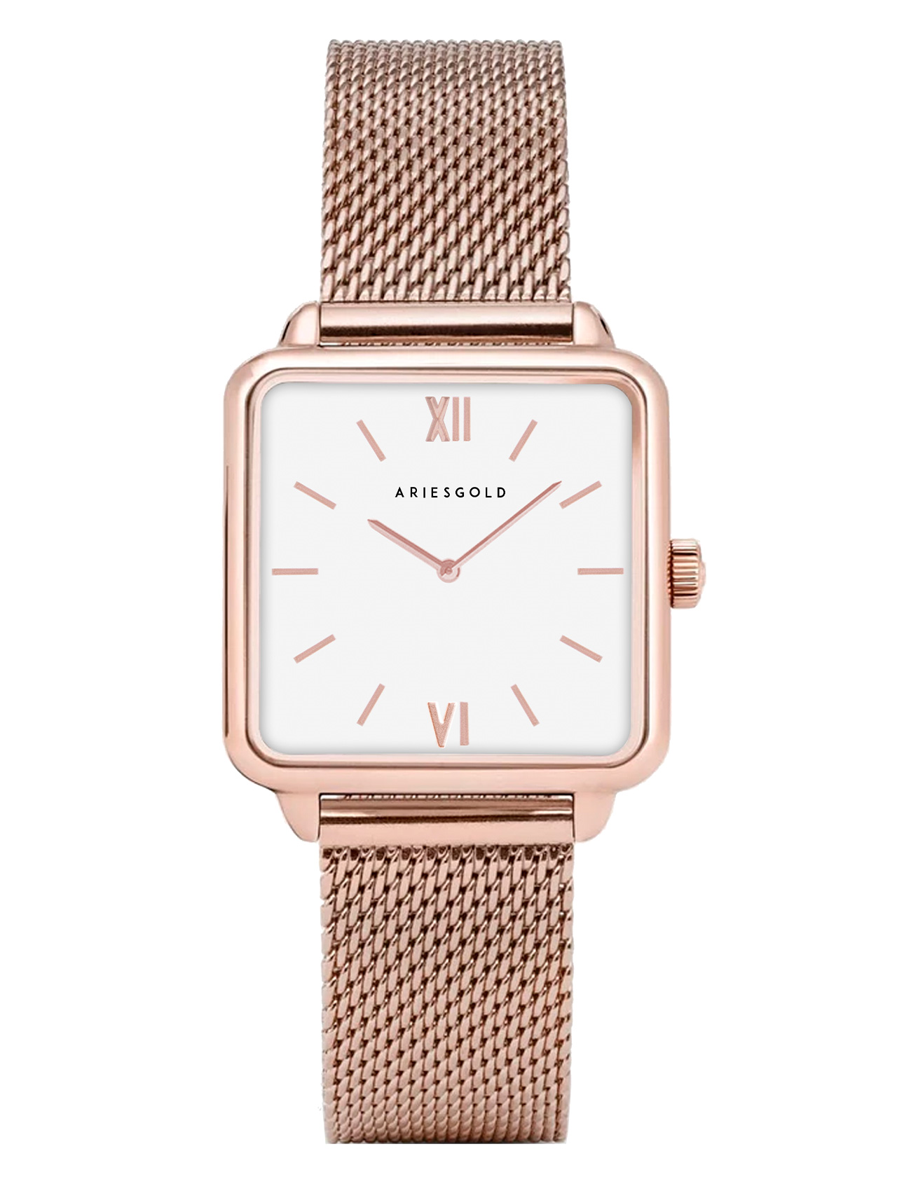 ARIES GOLD L 5038 RG-W Kadın Kol Saati Ürün ana görseli