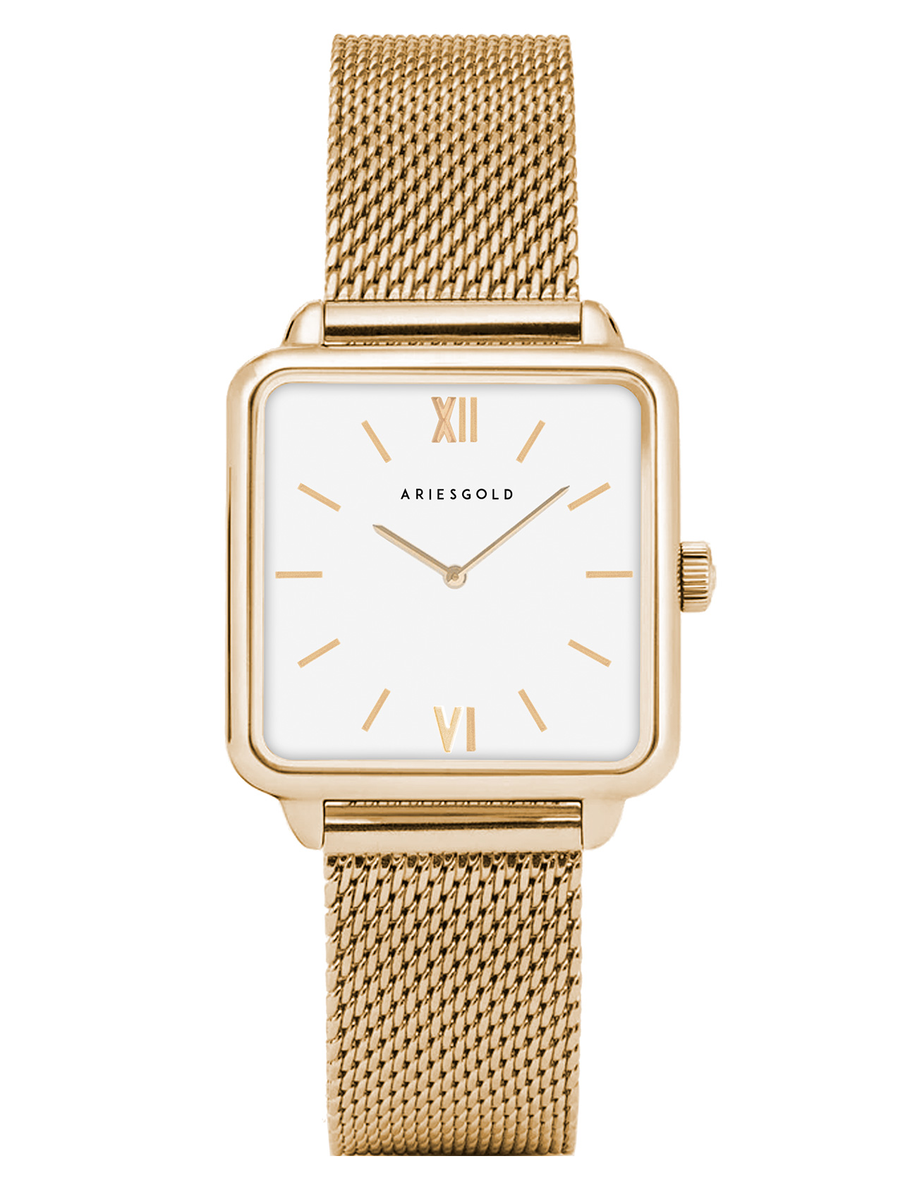 ARIES GOLD L 5038 G-W Kadın Kol Saati Ürün ana görseli