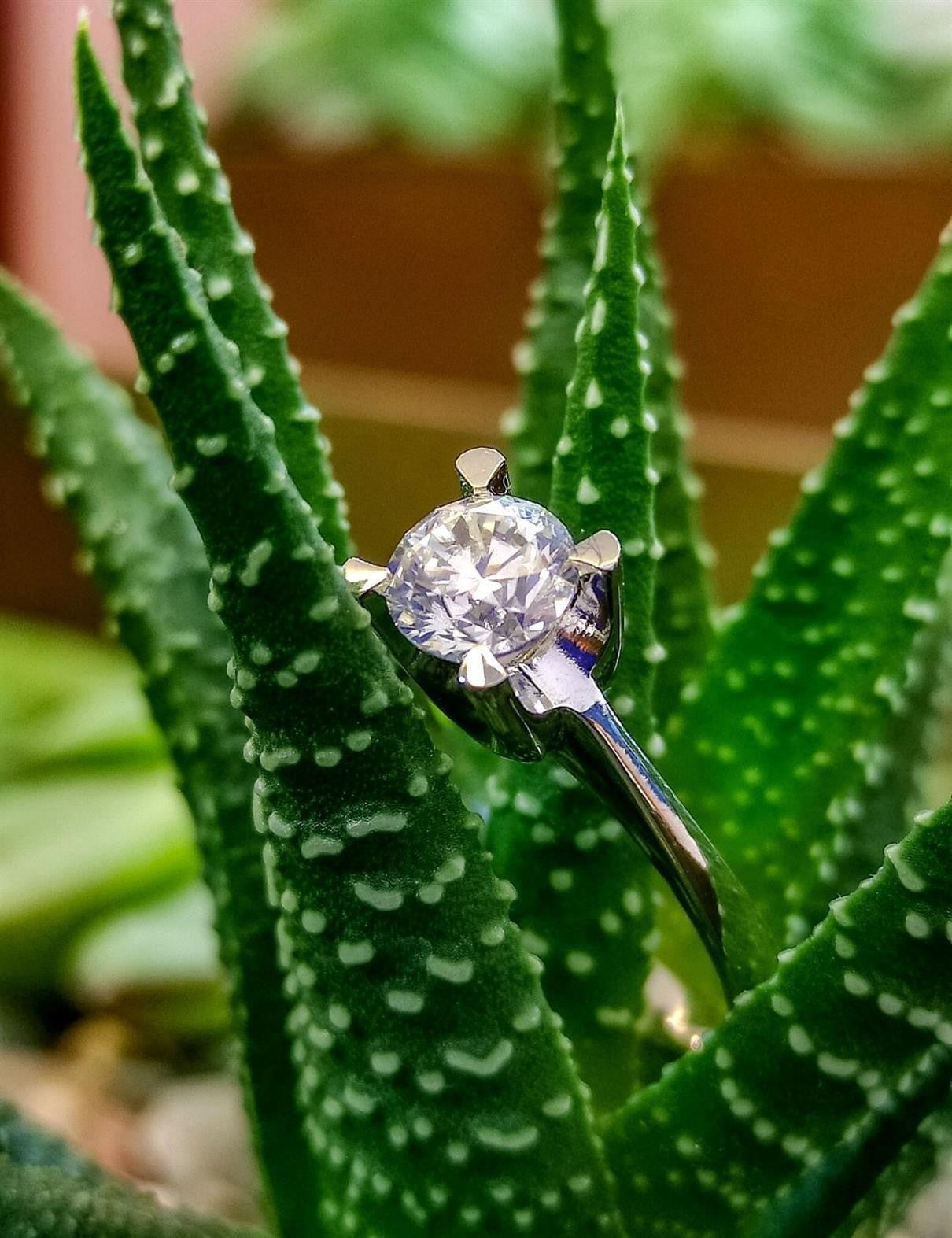 GIA Sertifikalı 1,00 Karat Tektaş Prılanta Yüzük