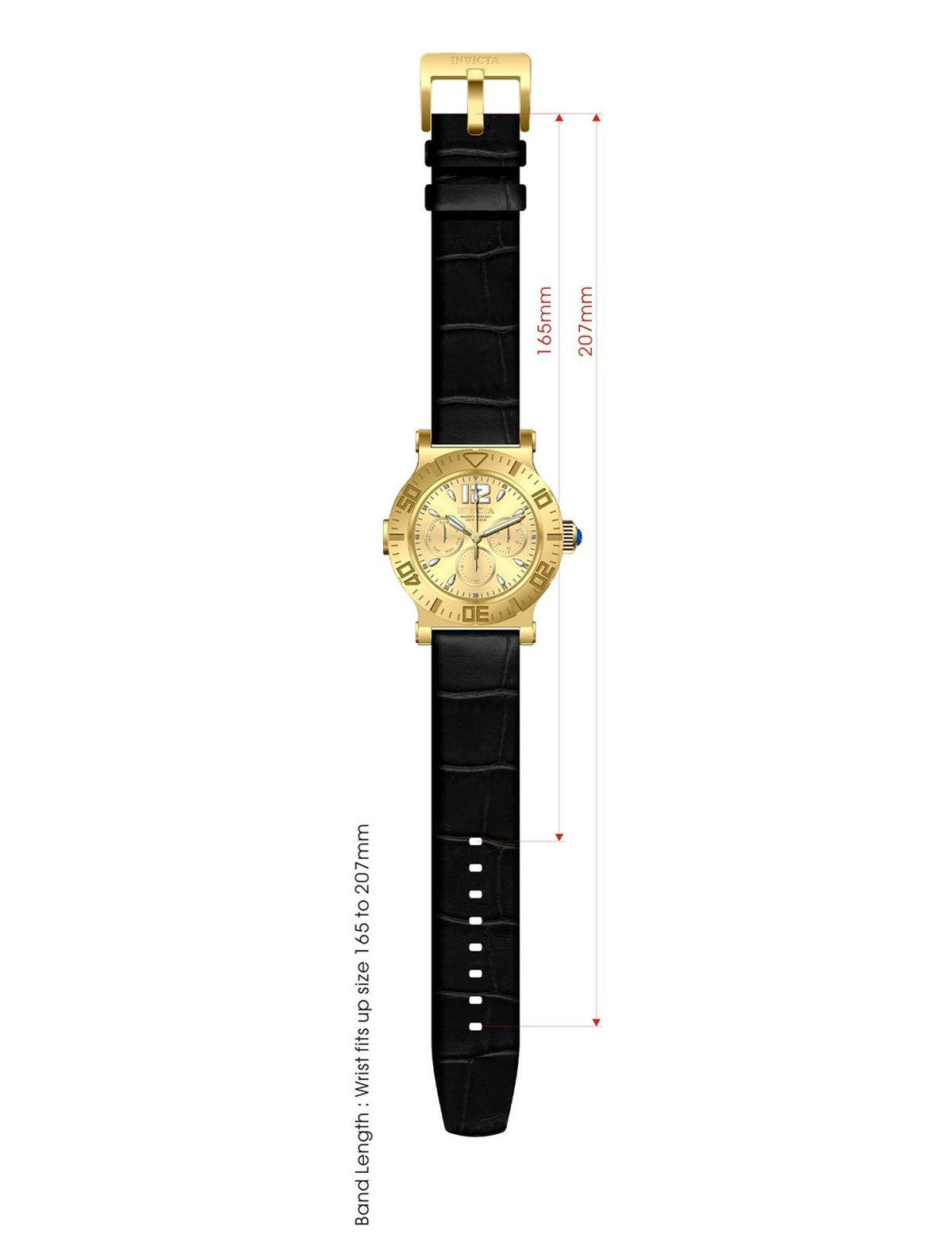 INVICTA Specialty Lady
