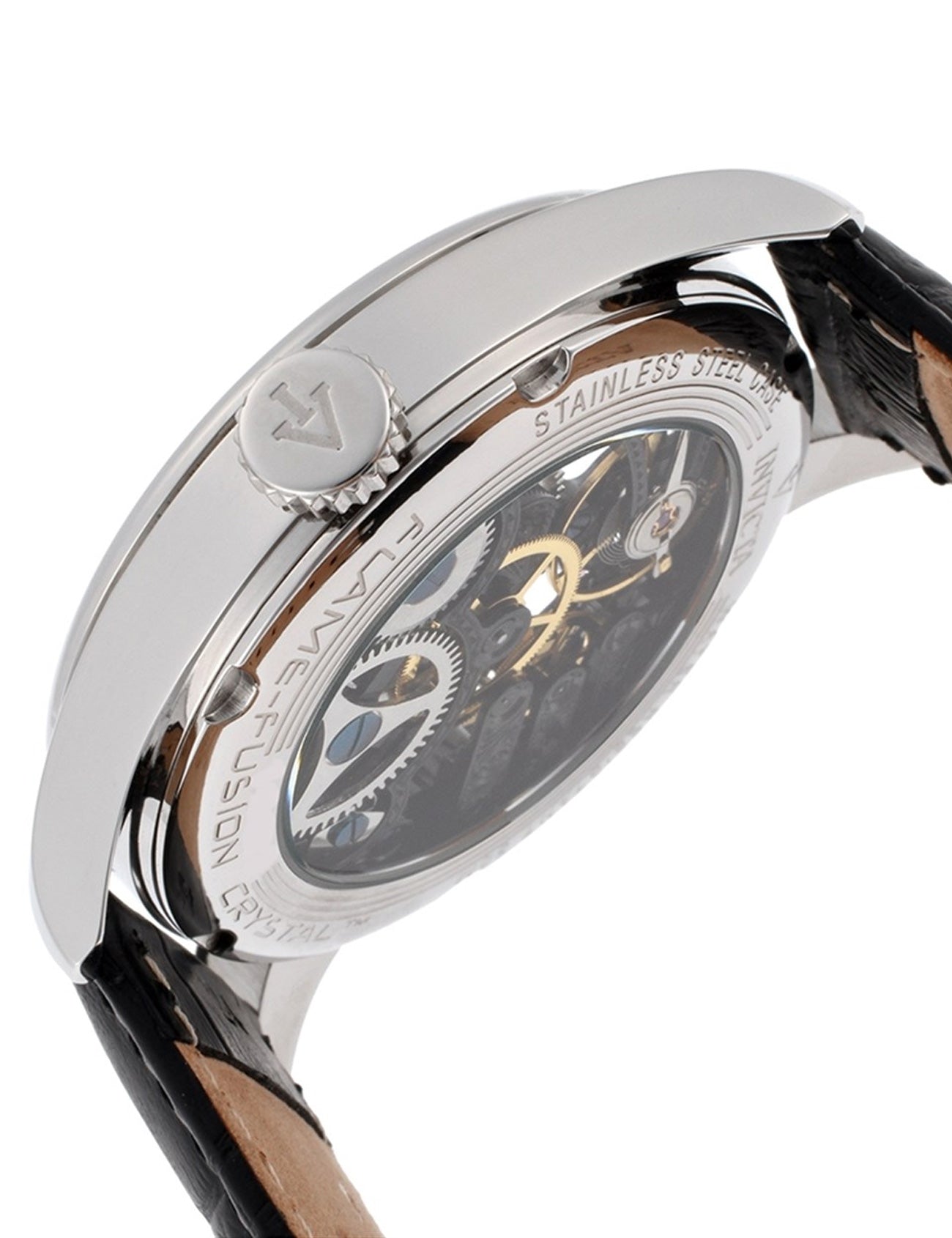 هيكل عظمي عتيق من إنفيكتا