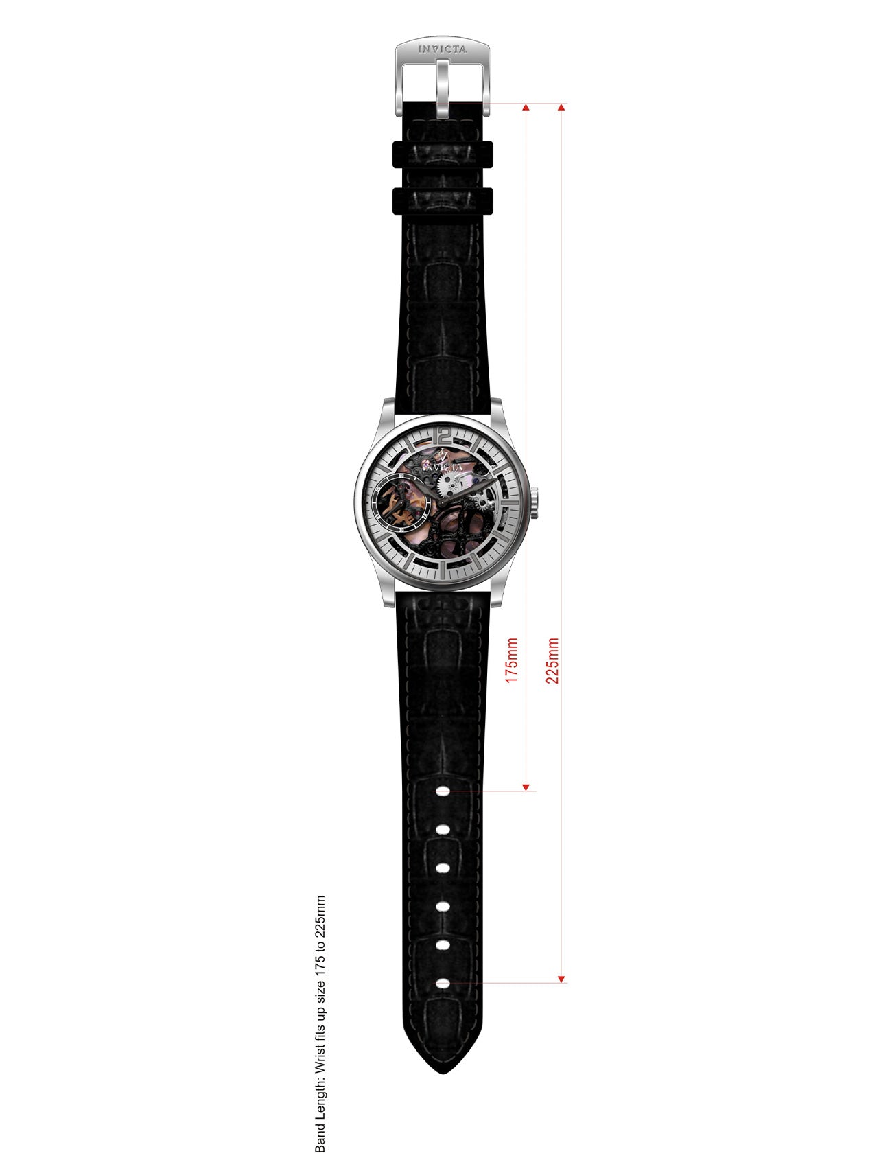 هيكل عظمي عتيق من إنفيكتا