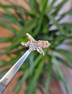 PIRLANT 0,75 Karat Pırlanta Yüzük