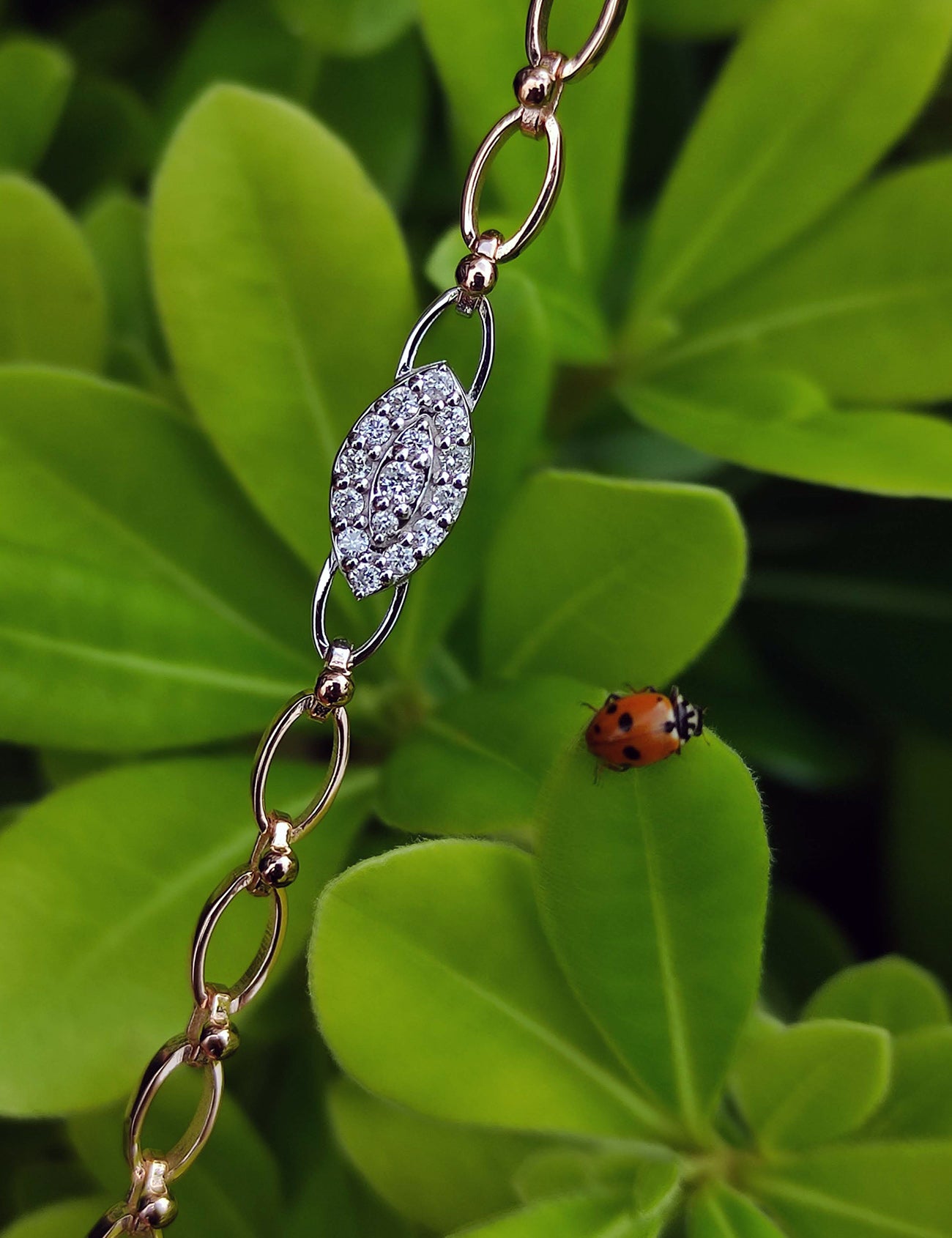 DIAMOND Jewelry/Bracelet/Fancy