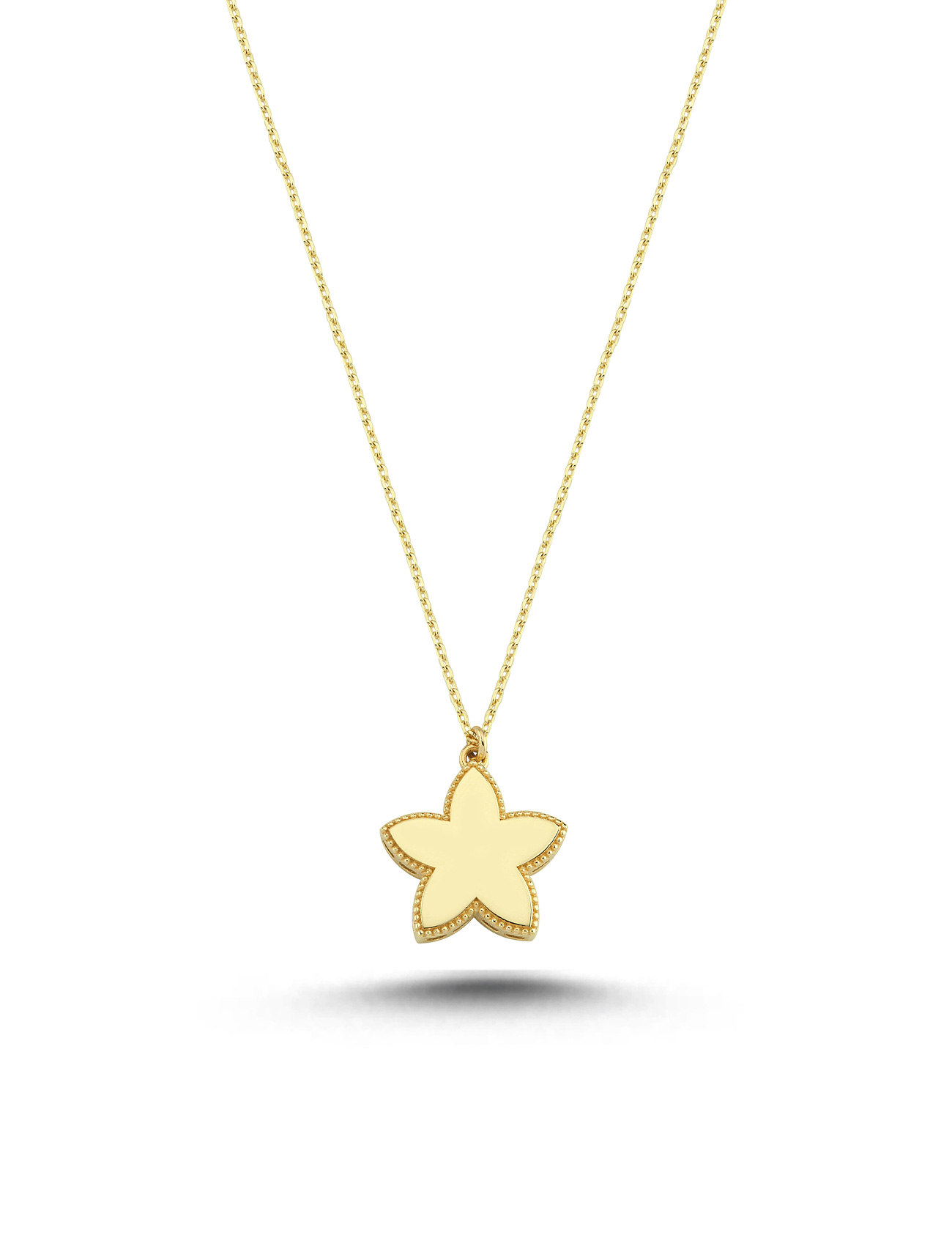 Star Plain Gold Necklace Main image
