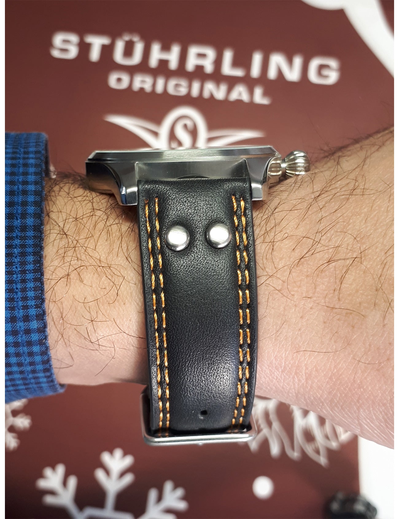 STÜHRLING Men's Eagle Swiss Quartz