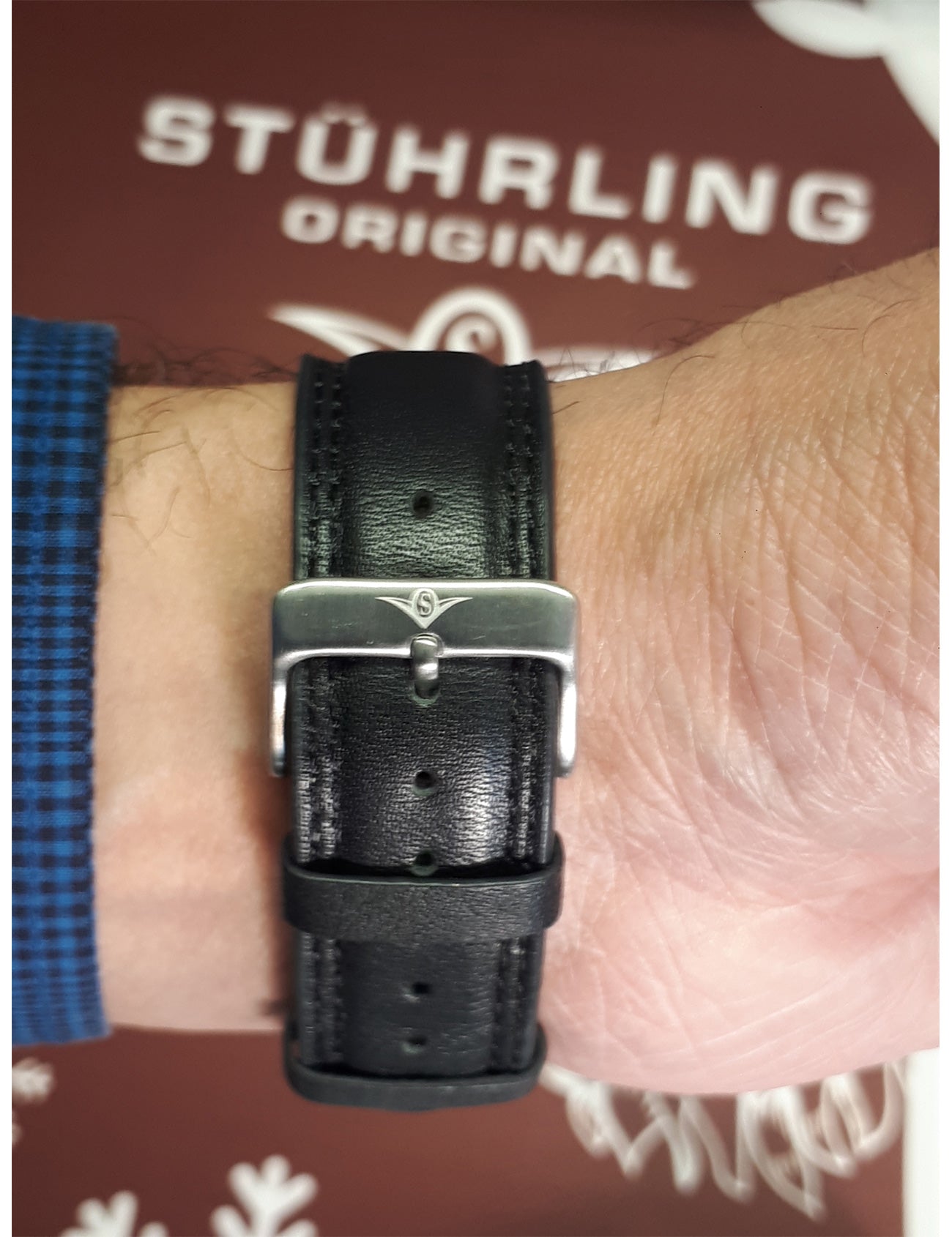 STÜHRLING Men's Eagle Swiss Quartz