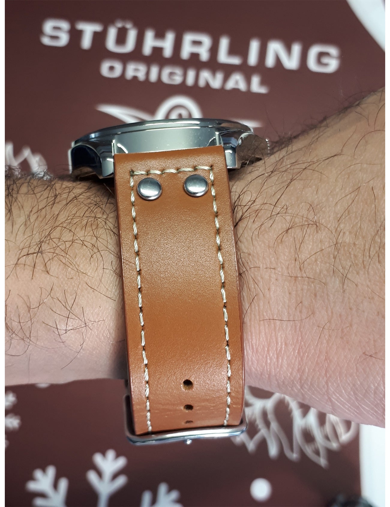 STÜHRLING Men's Quartz