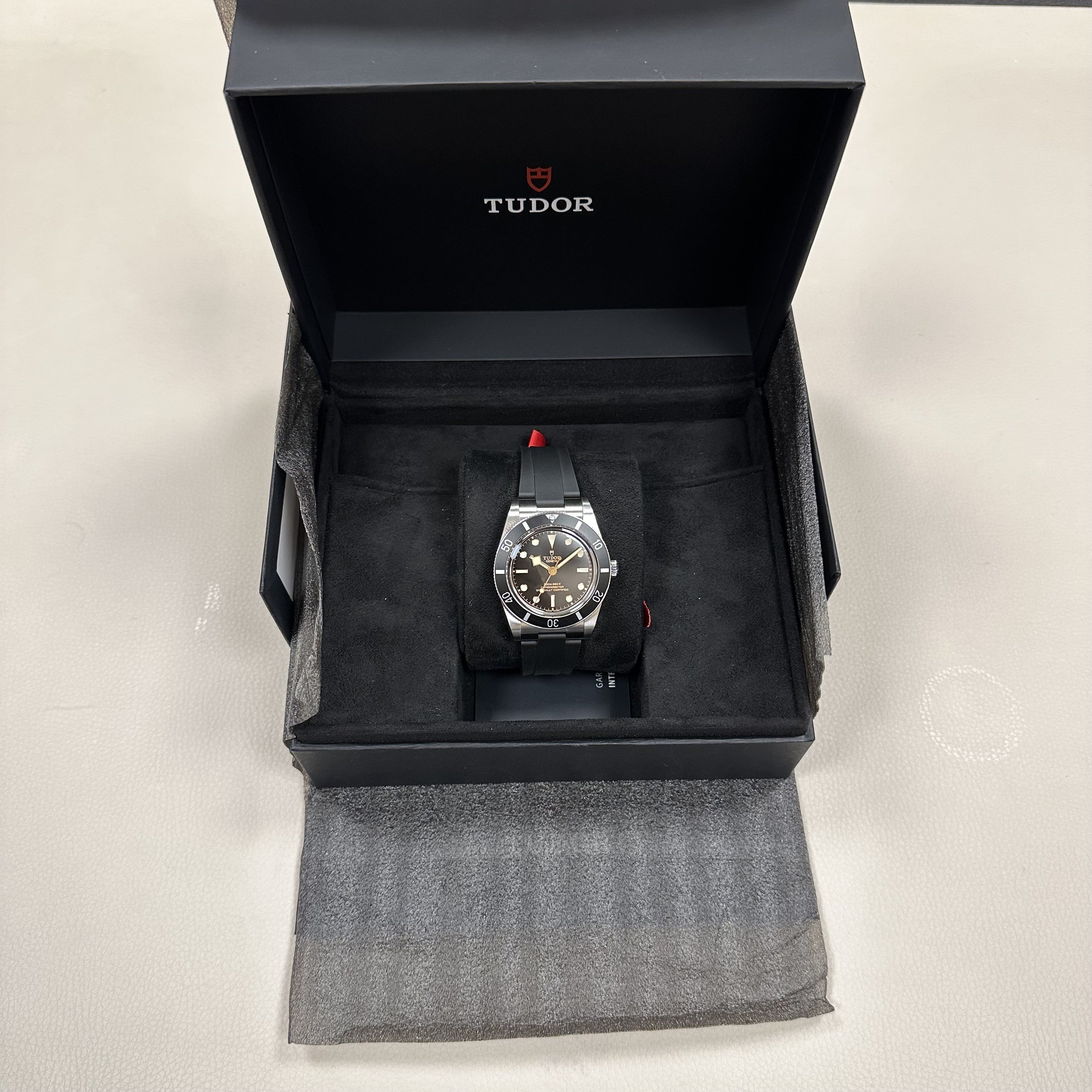 TUDOR M79000N-0002 Black Bay 54 Erkek Saati