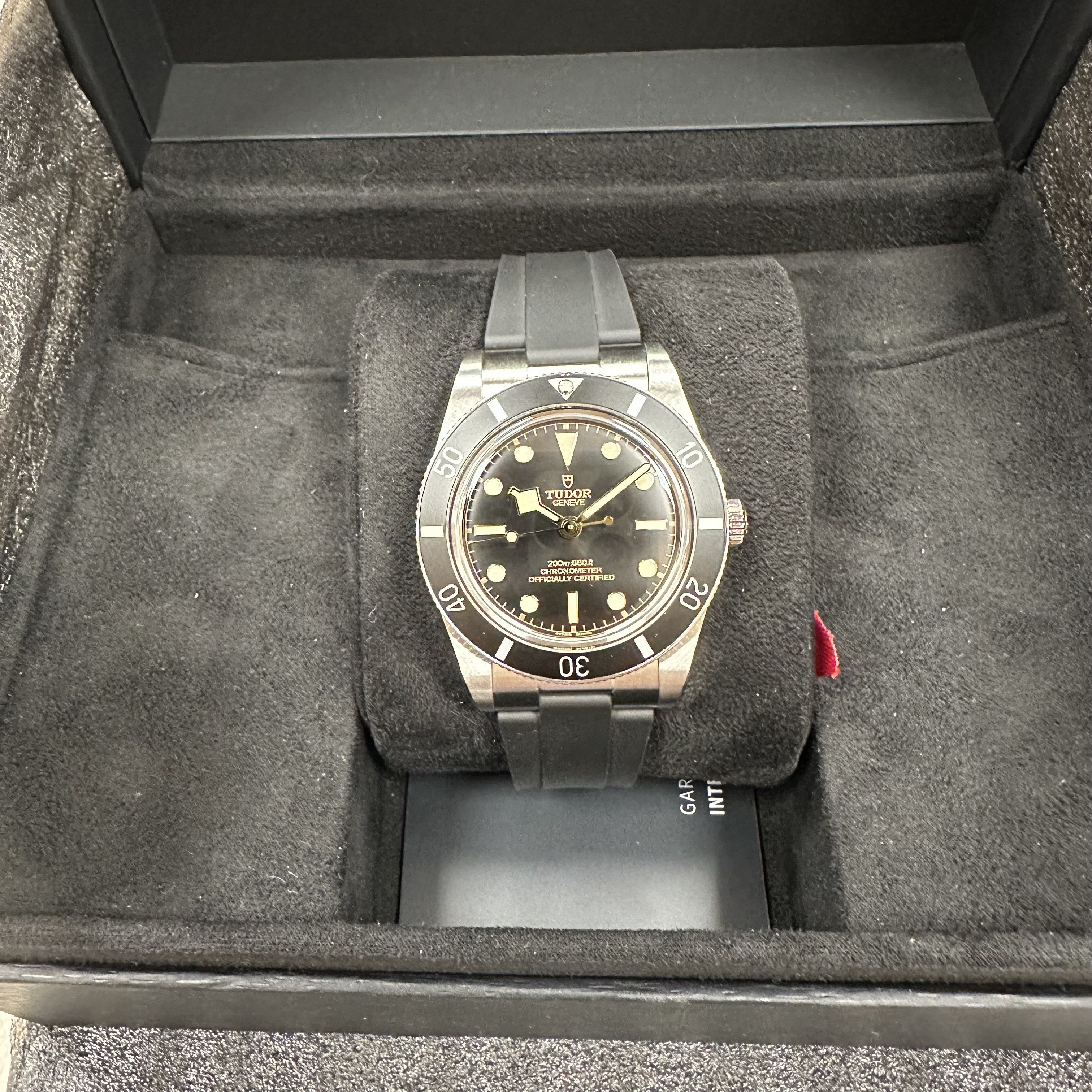 TUDOR M79000N-0002 Black Bay 54 Erkek Saati