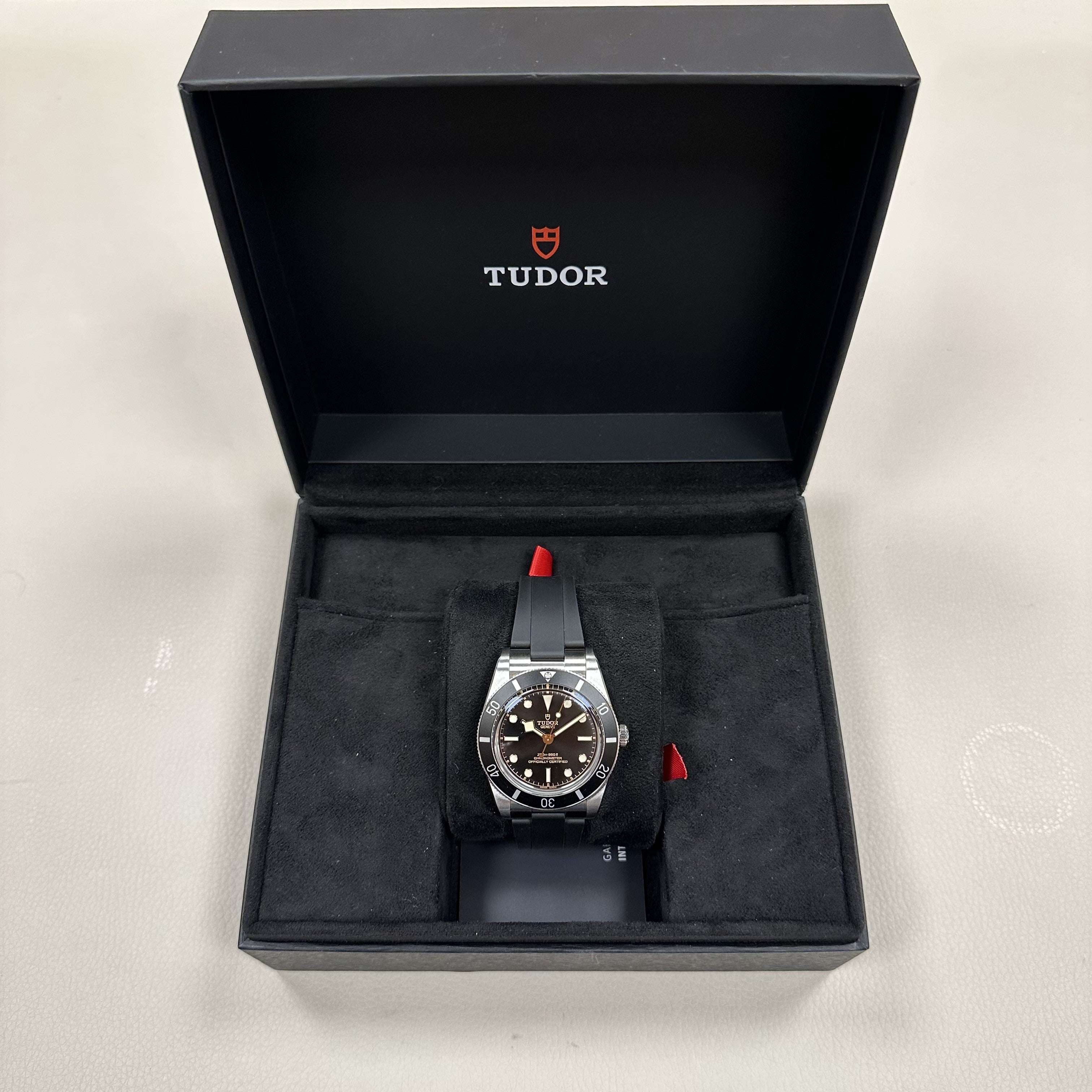 TUDOR M79000N-0002 Black Bay 54 Erkek Saati