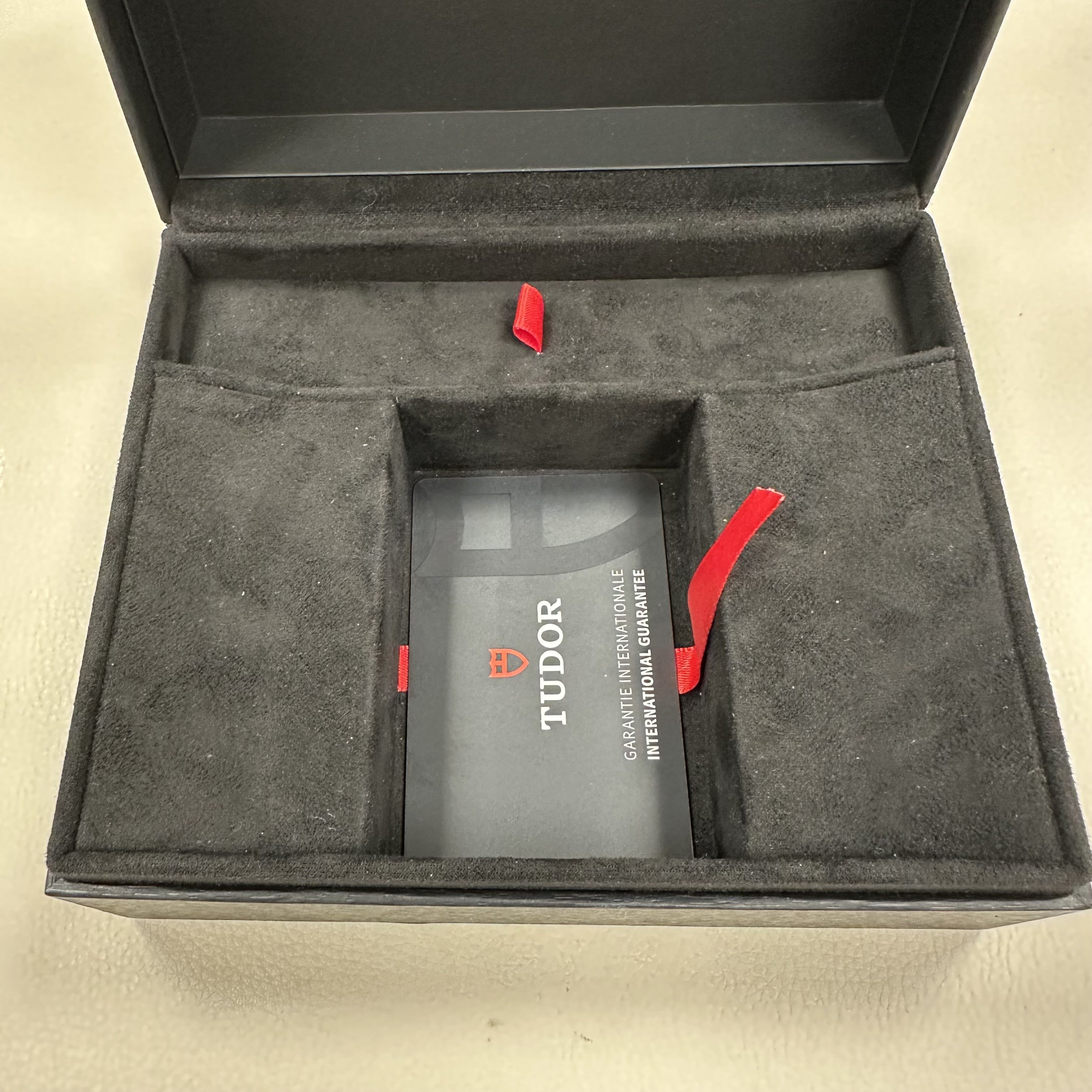 TUDOR M79000N-0002 Black Bay 54 Erkek Saati