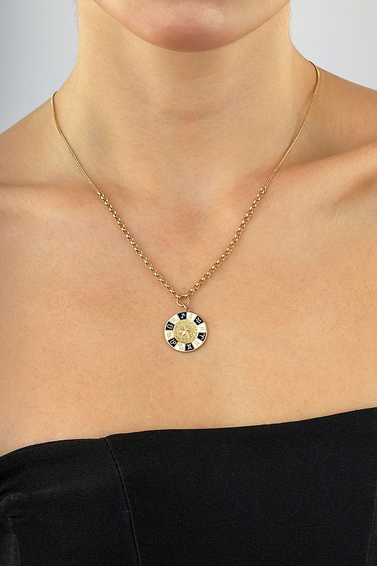 14 Ayar Burçlar Altın Kolye