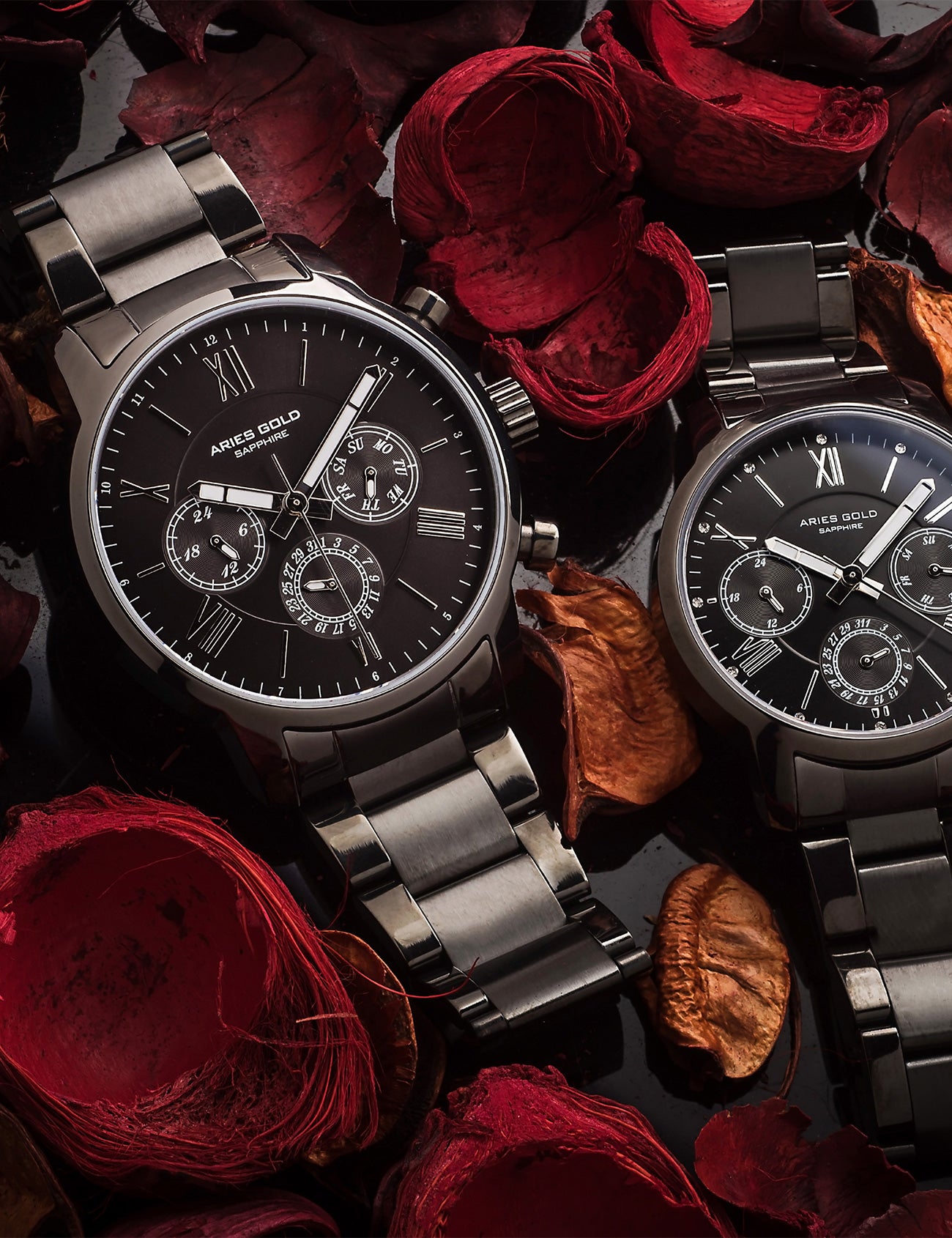 ARIES GOLD L 103 BK-BK Kadın Kol Saati