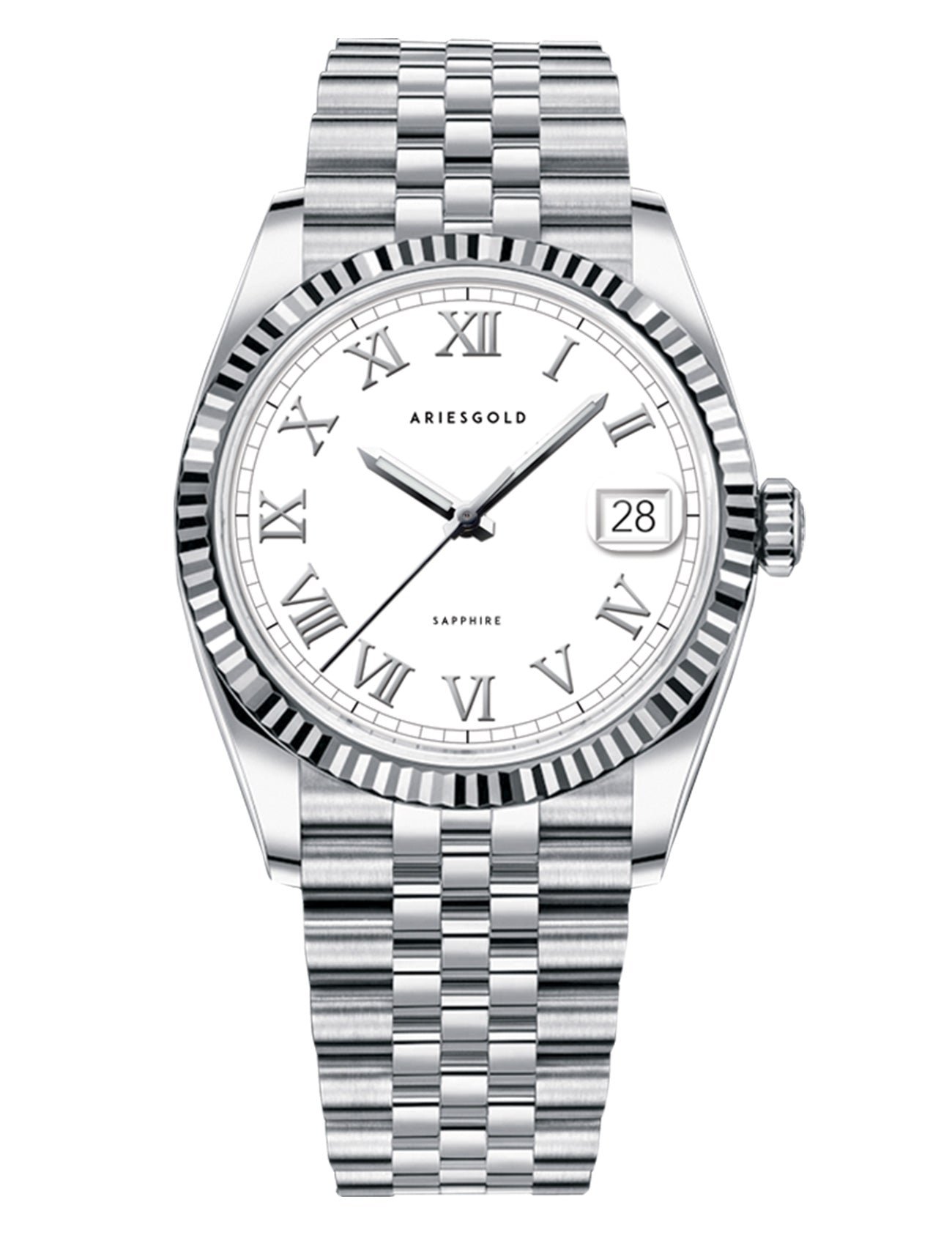 ARIES GOLD G 1068 S-RW Erkek Kol Saati