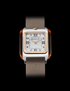 BRISTON 252030.PRA.T.2.NT Erkek Kol Saati