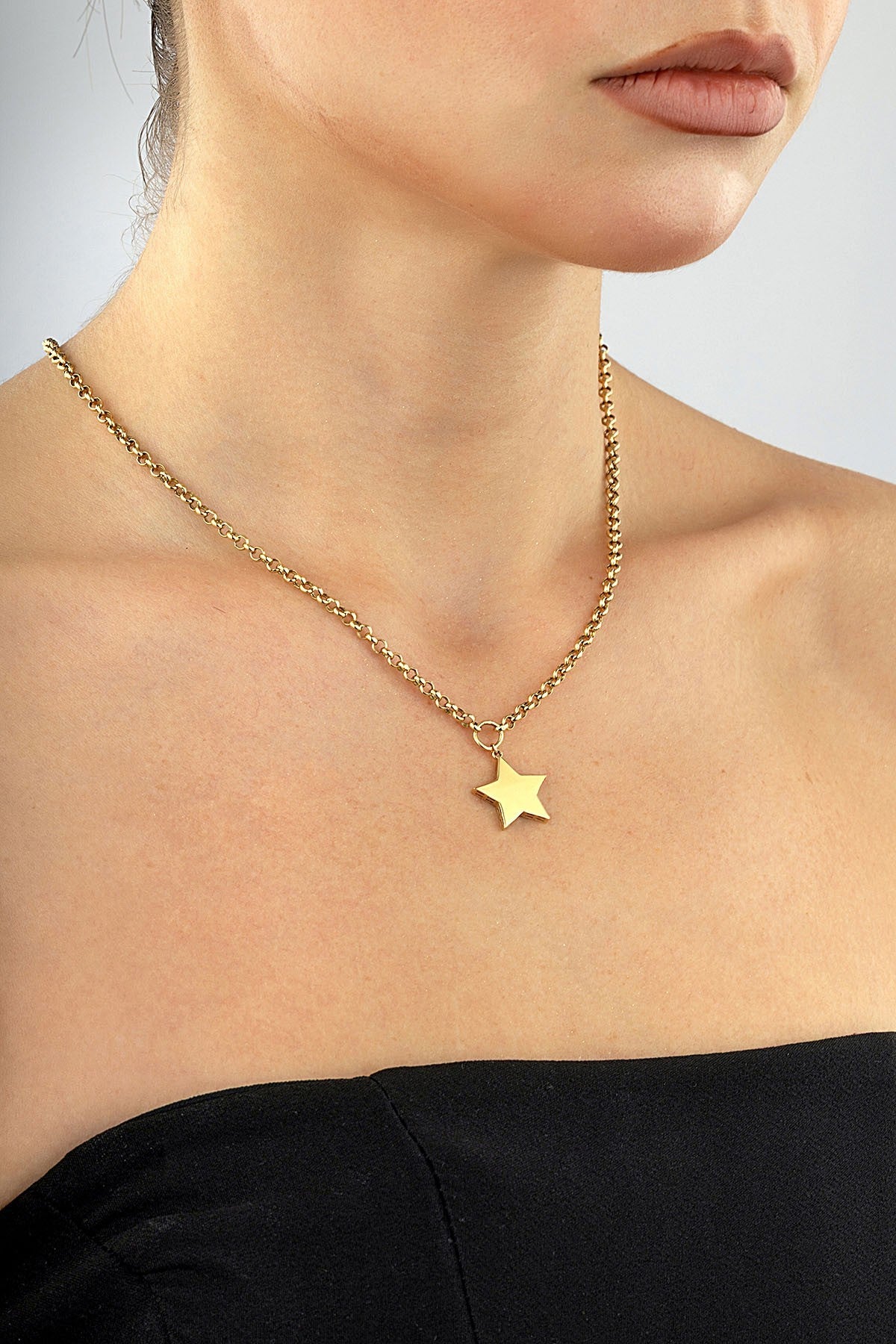 14 Ayar Yıldız Altın Kolye Ürün ana görseli